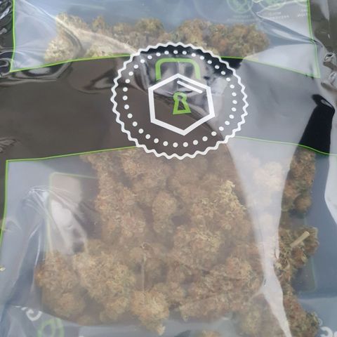 Hindu Kush growlog timeline photo