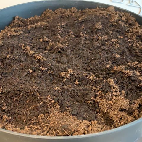 Randy growlog timeline photo