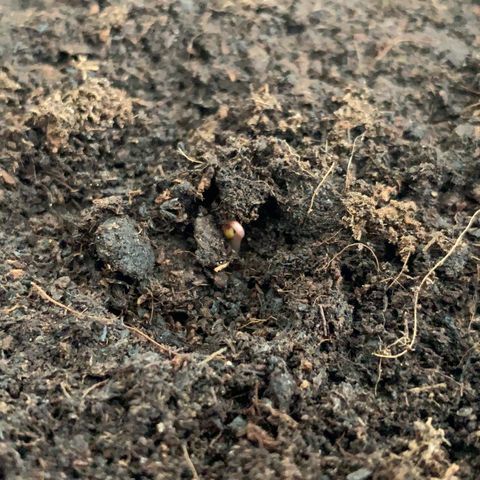 Randy growlog timeline photo
