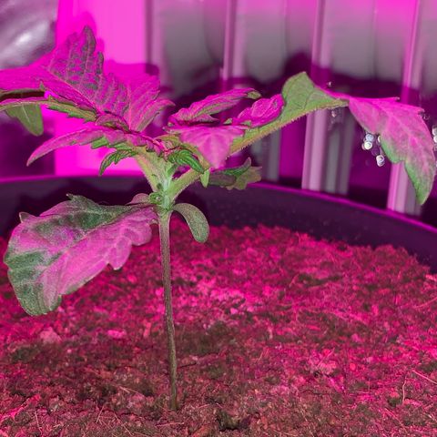 Randy growlog timeline photo