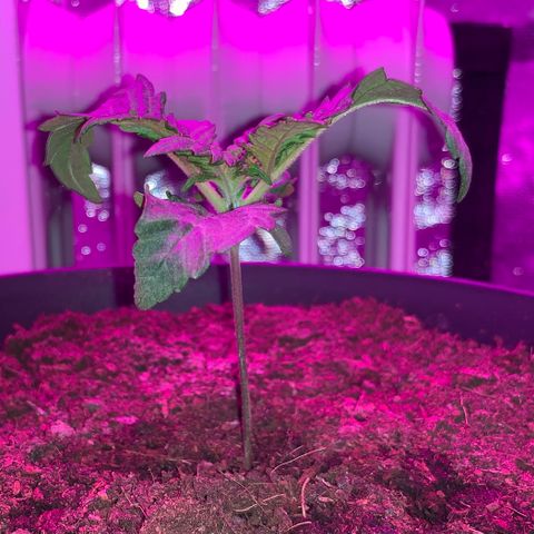 Randy growlog timeline photo