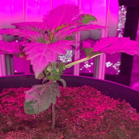 Randy growlog timeline photo