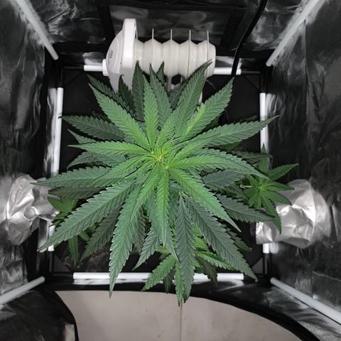 Randy growlog timeline photo