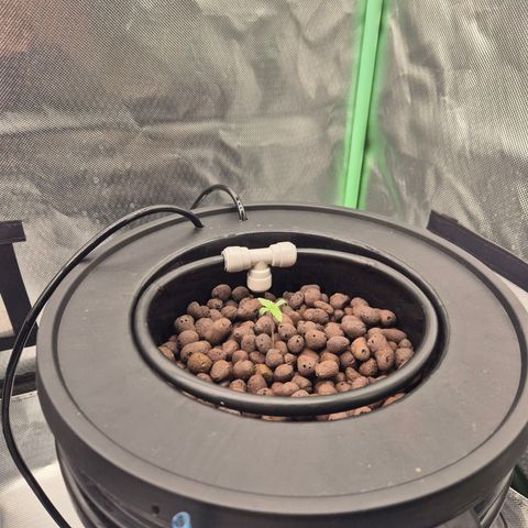 Fran Growlog-Foto 3