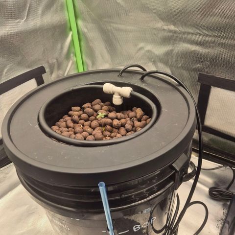 Jen growlog timeline photo