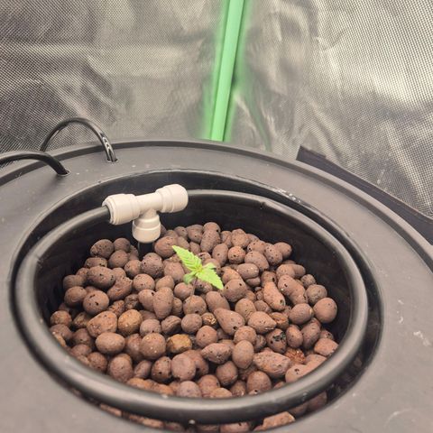 Jen growlog timeline photo
