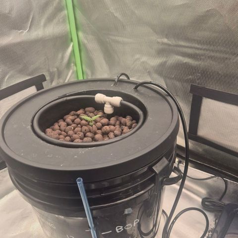 Jen growlog timeline photo