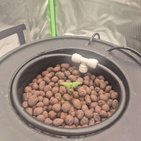 Jen growlog timeline photo