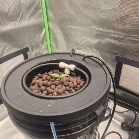 Jen growlog timeline photo