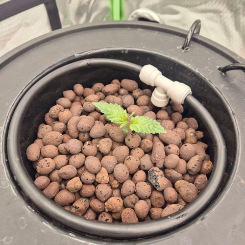 Jen growlog timeline photo