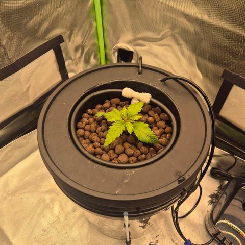 Jen growlog timeline photo