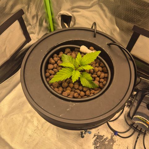 Jen growlog timeline photo