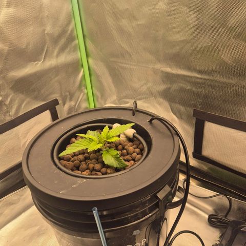 Jen growlog timeline photo