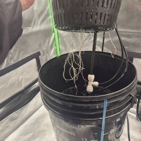 Jen growlog timeline photo