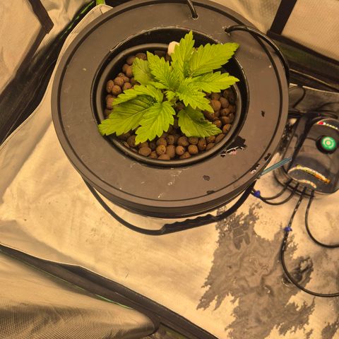 Jen growlog timeline photo
