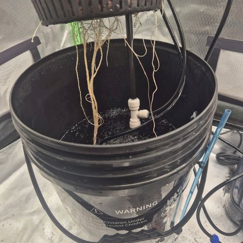 Jen growlog timeline photo