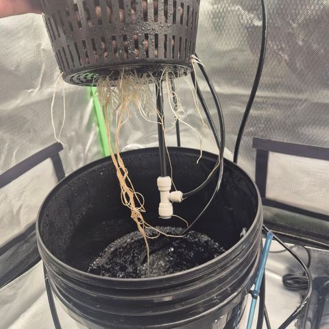 Jen growlog timeline photo