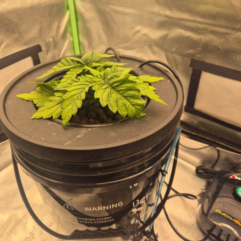Jen growlog timeline photo