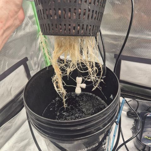 Jen growlog timeline photo