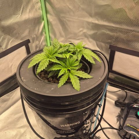 Jen growlog timeline photo