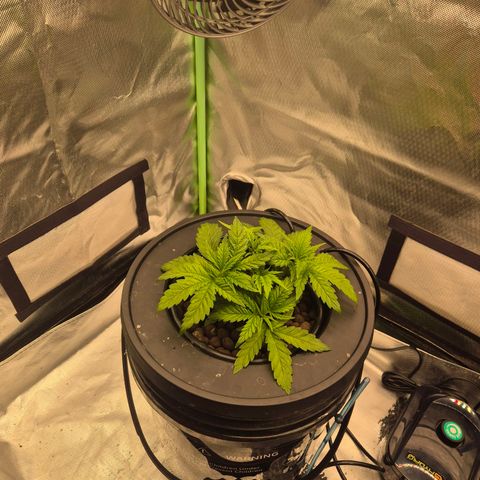 Jen growlog timeline photo