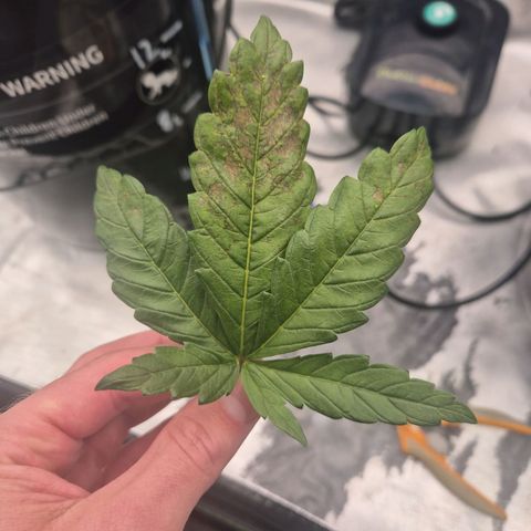 Jen growlog timeline photo