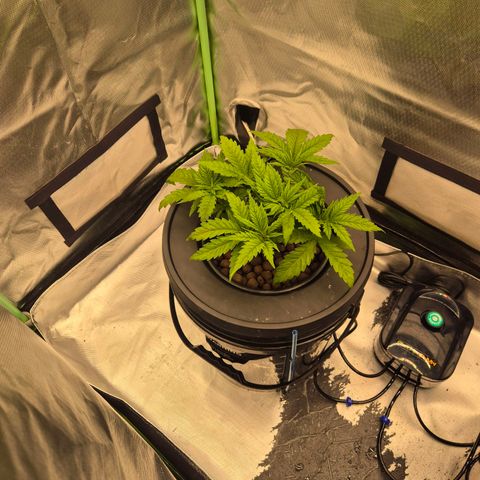 Jen growlog timeline photo
