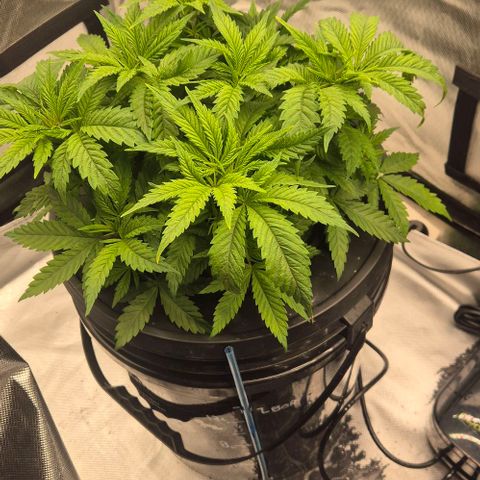 Jen growlog timeline photo