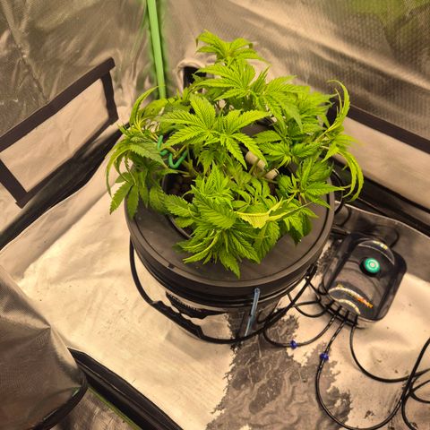 Jen growlog timeline photo