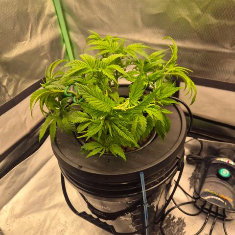 Jen growlog timeline photo