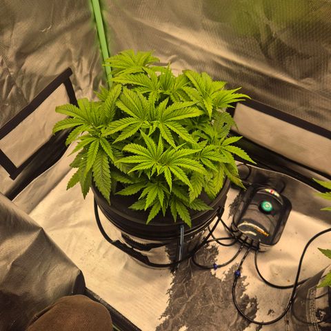 Jen growlog timeline photo