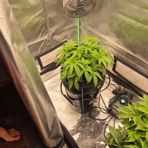 Jen growlog timeline photo