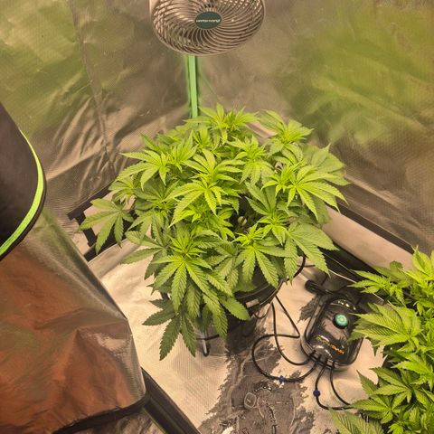 Jen growlog timeline photo