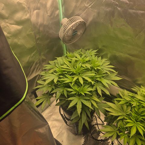 Jen growlog timeline photo