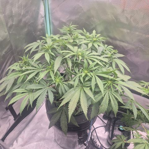 Jen growlog timeline photo