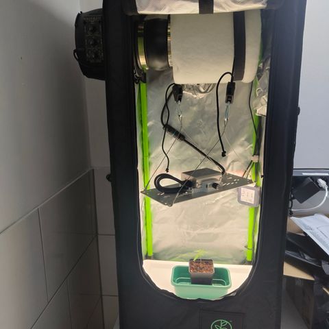 Freja growlog photo: Upped ppfd to 300
Assuming start of vegetative phase today.