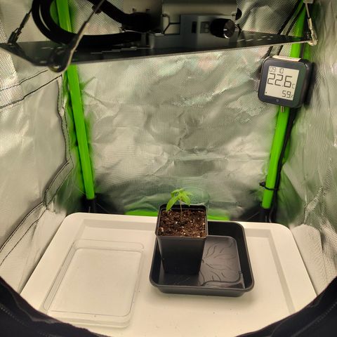 Freja growlog timeline photo