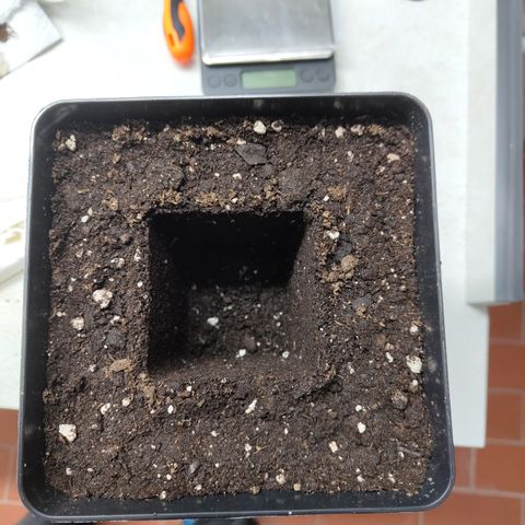 Freja growlog timeline photo