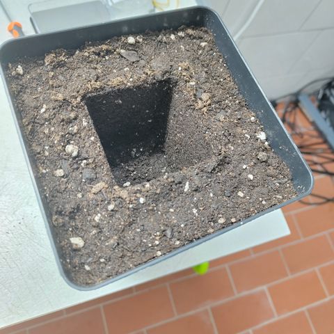 Freja growlog timeline photo