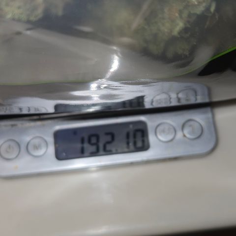 Underdog growlog timeline photo