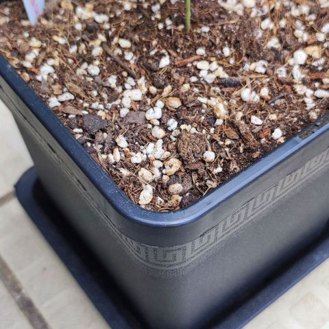Hella Jelly growlog timeline photo