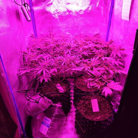 Black 47 growlog timeline photo