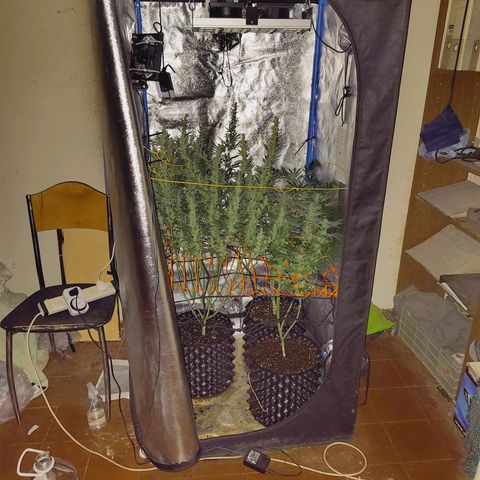 Black 47 growlog timeline photo