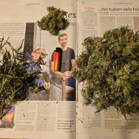 Jane growlog timeline photo