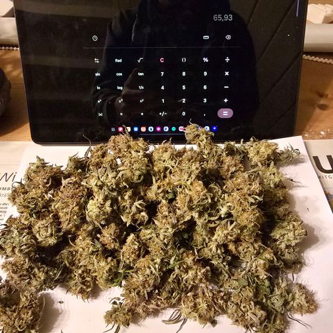 Jane growlog timeline photo