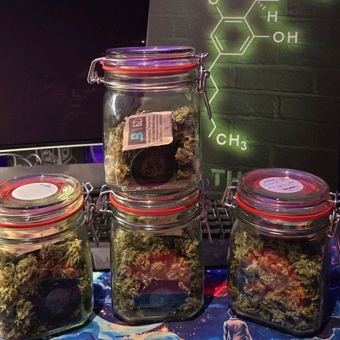 Mary growlog timeline photo