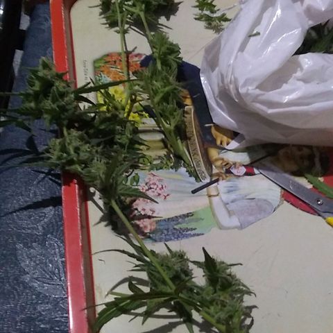 God Killa growlog timeline photo