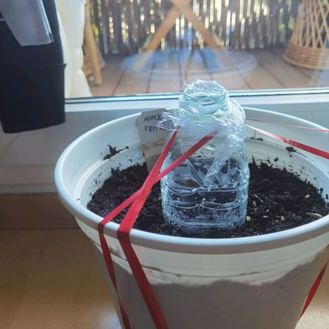 Apple fritter auto 8l growlog timeline photo