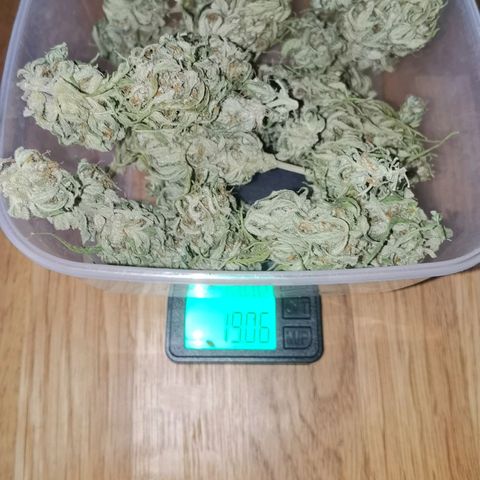Apple fritter auto 8l growlog photo: Dazu kommen noch die 3 arme 