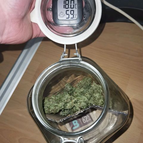 Apple fritter auto 8l growlog timeline photo